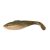 Sardine