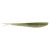 Emerald Shiner