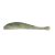 Sardine