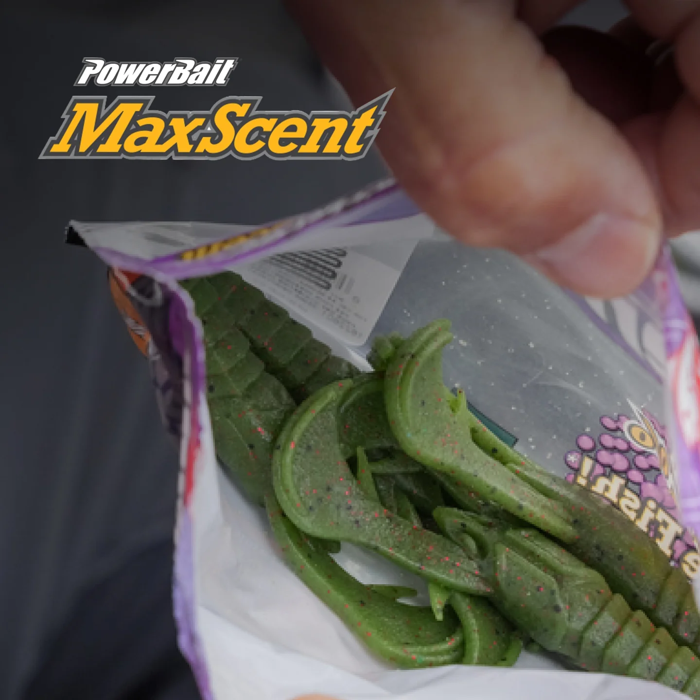 PowerBait MaxScent