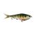 MF Bluegill
