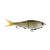 Golden Shiner