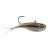 HD Blacknose Shiner