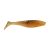Mud Minnow