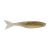 Hickory Shad
