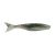 Pinfish
