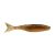 Mud Minnow
