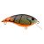 Firetail Green Craw