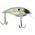 Ghost Sexy Shad