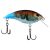Killer Craw