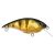 Perch