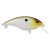 Tennessee Shad