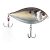 Chrome Shad