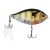 Phantom Gill