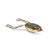Honey Shad