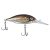 Chrome Shad