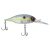 Ghost Sexy Shad