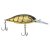 Phantom Craw