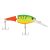 Firetail MF Hot Firetiger