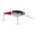 Firetail Red Tail