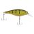 Yellow Perch