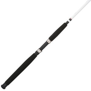 Big Game™ Spinning Rod