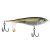 Mangrove Minnow