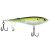 HD Pilchard
