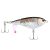 HD Rainbow Trout