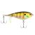 MF Bluegill