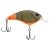 Firetail Green Craw