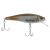 Mangrove Minnow