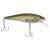 HD Pilchard