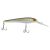 Golden Alewife
