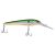 Slick Tennessee Shad