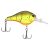 Rootbeer Craw