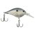 Blue Shad