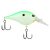 Citrus Shad