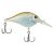 HD Blueback Herring