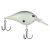 Honey Shad