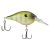 Killer Gill