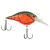 Red Swamp Craw