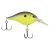River Bream