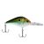 HD Tennessee Shad