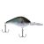 HD Blueback Herring