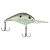 Green Shad