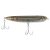 Mangrove Minnow