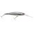 HD Spottail Shiner