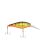 Firetail Hot Perch