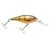 HD Yellow Perch